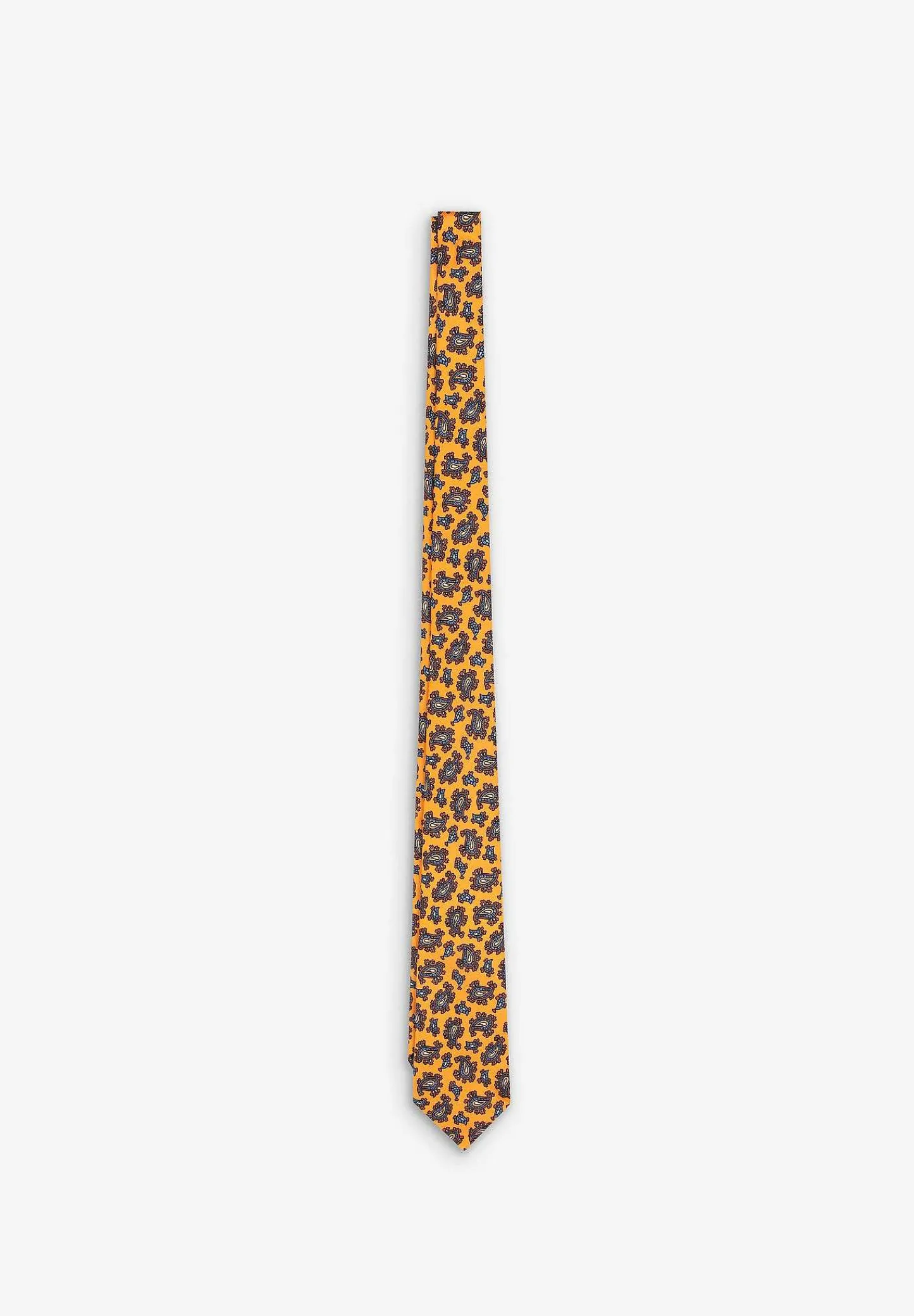 paisley_tie_3.webp Store Scalpers Paisley Tie